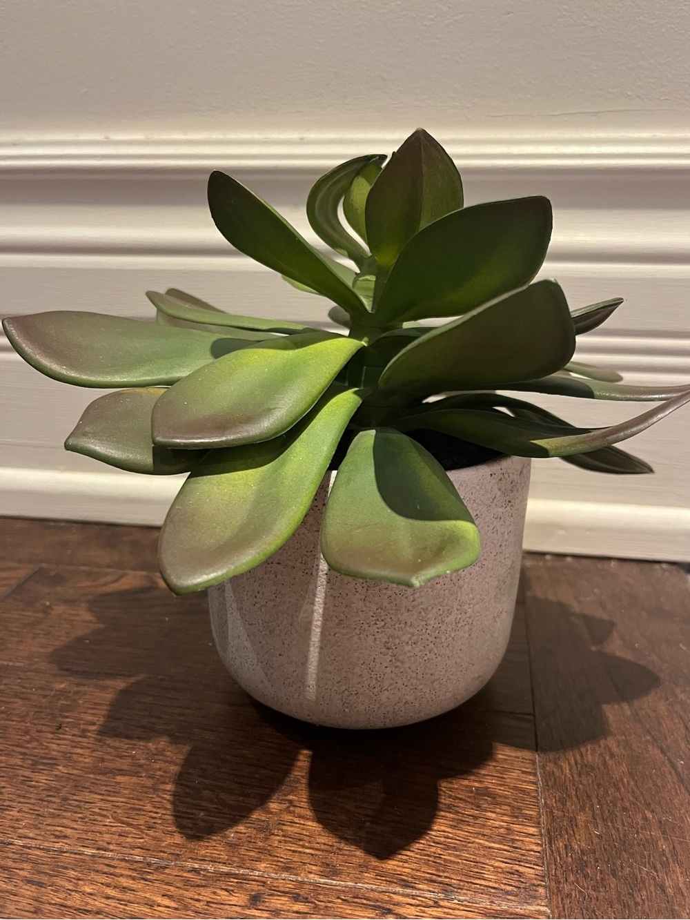 Artificial Succulent Plant in Green with Gray Ceramic Pot